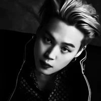 Park Jimin 