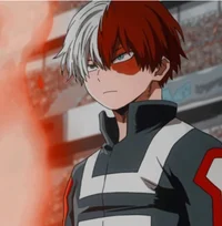 Shoto Todoroki 