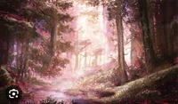 magical forest