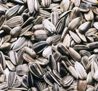 Sunflower seeds