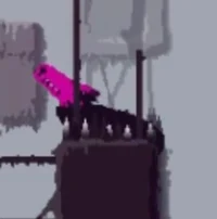 Pink lizard