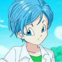 Bulma Briefs