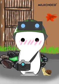 Recon
