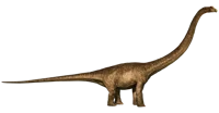 Mamacheiosaurus