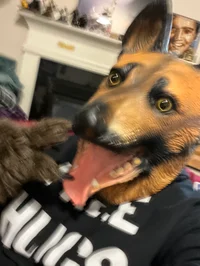 GermanSheph 