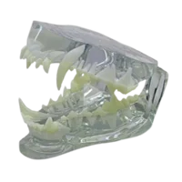 Plastic Jaws