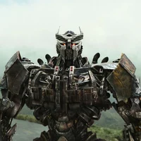 TF7 Switchback Chase