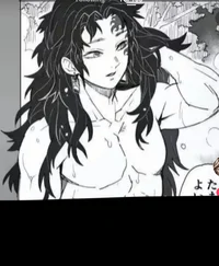 Hot springs yoriichi