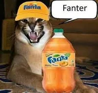 Fanter cat
