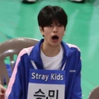 Kim seungmin 