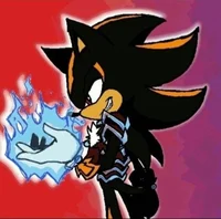 Sanctum the hedgehog