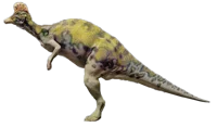 Corythosaurus