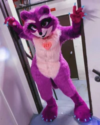 Zee the raccoon