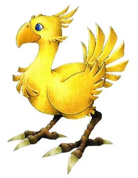 A Chocobo