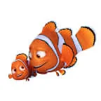 Nemo and marlin