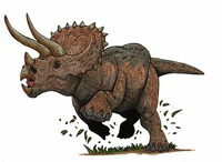 Triceratops