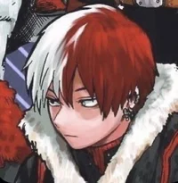 Shoto Todoroki