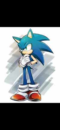 Unknown Sonic