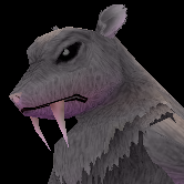 Dark Rat Man