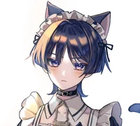 maid cat scara