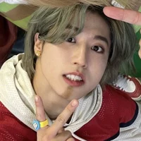 Han Jisung -au minsu