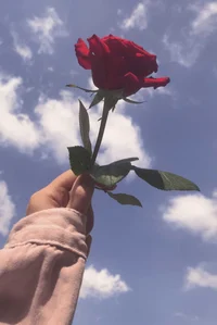 Hola