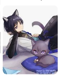 Neko scaramouche 