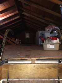 The Man in the attic