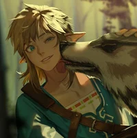 Link-botw