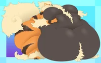 Fat arcanine 