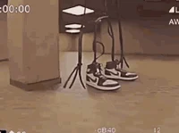 roasting cringe robl