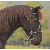Equine Simon Ghost