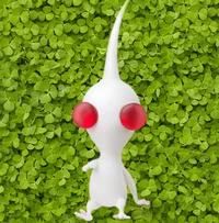 White Pikmin
