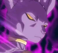 Lord Beerus