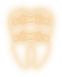 Molar Office