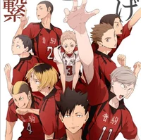 HQ Nekoma Boys VB
