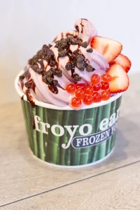 froyo customer