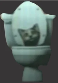 cat toilet