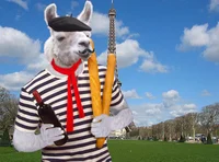 French llama