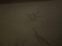 Shiny Rayquaza