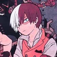 Shoto Todoroki