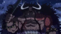 Kaido