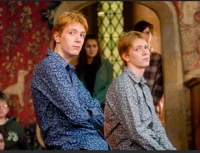 weasely twins