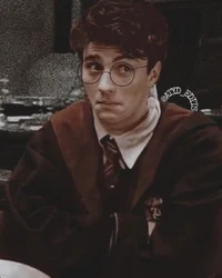 James potter