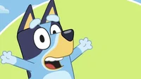 Bluey 2000 