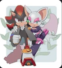 Shadow and Rouge