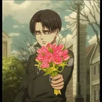 Levi ackerman