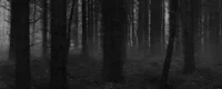 Creepypasta Forest