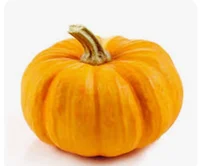 Pumpkin