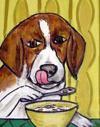 Dog eat cereal